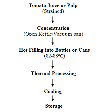 Process Flow Diagram Of Tomato Ketchup Tomato Plant Process